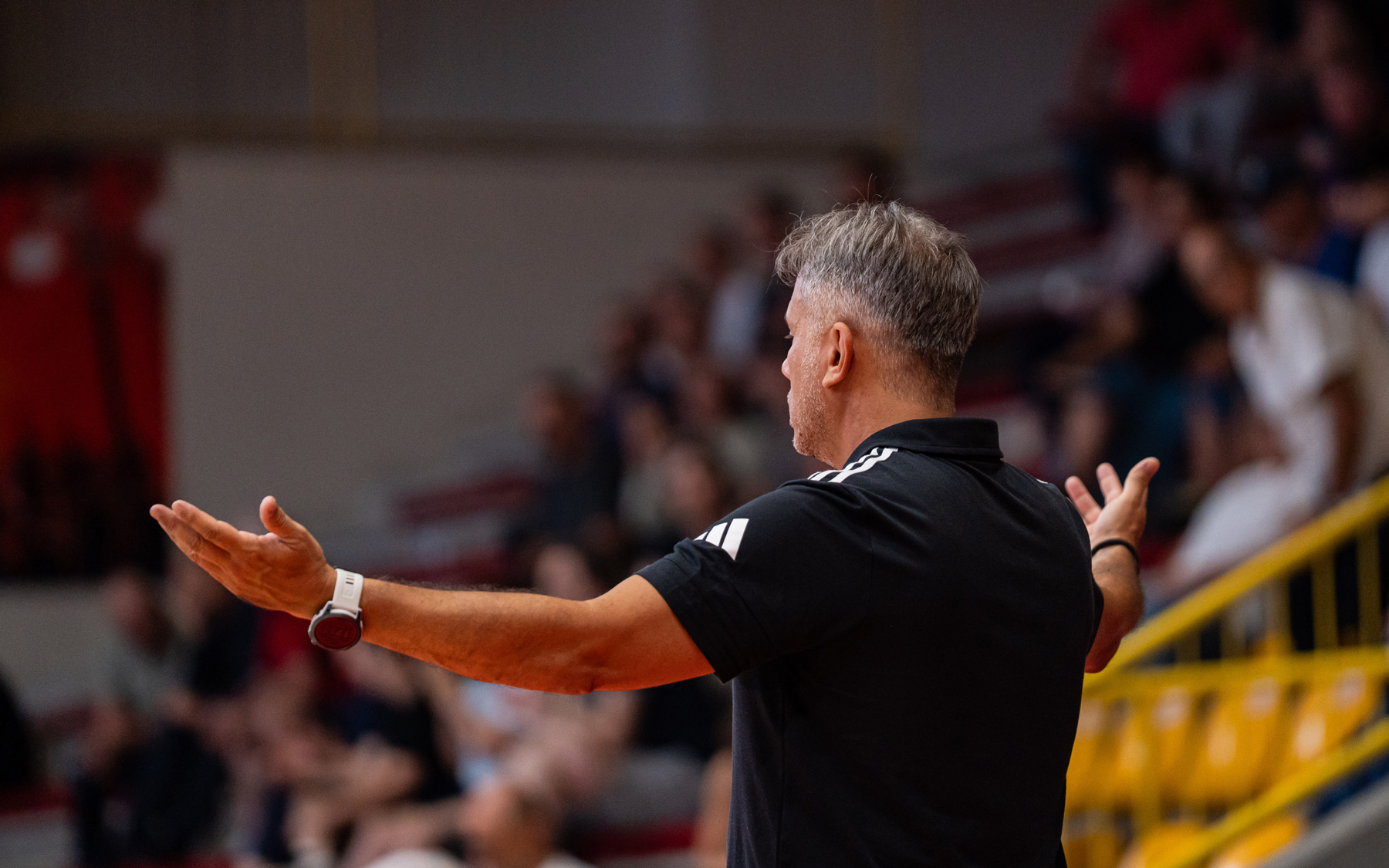Coach-Dikaioulakos-Schio-Sopron
