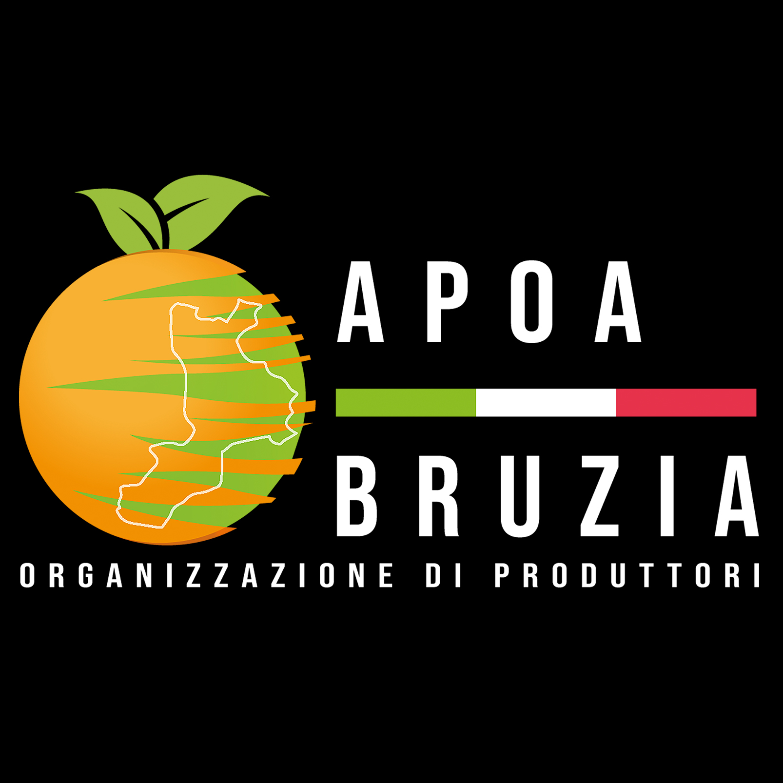 apoa bruzia